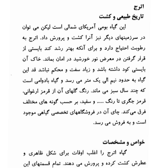 ادویه درمانی