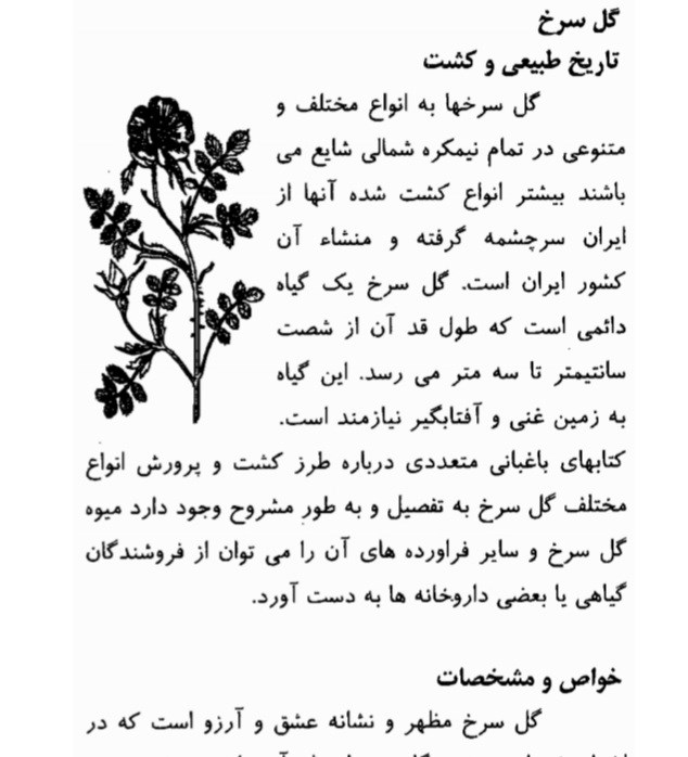 ادویه درمانی